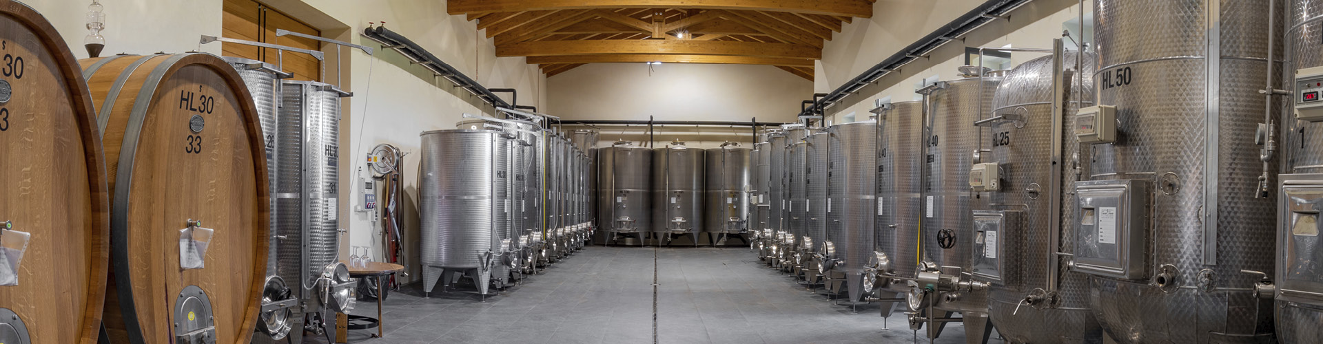 lorem ipsum dolor sit